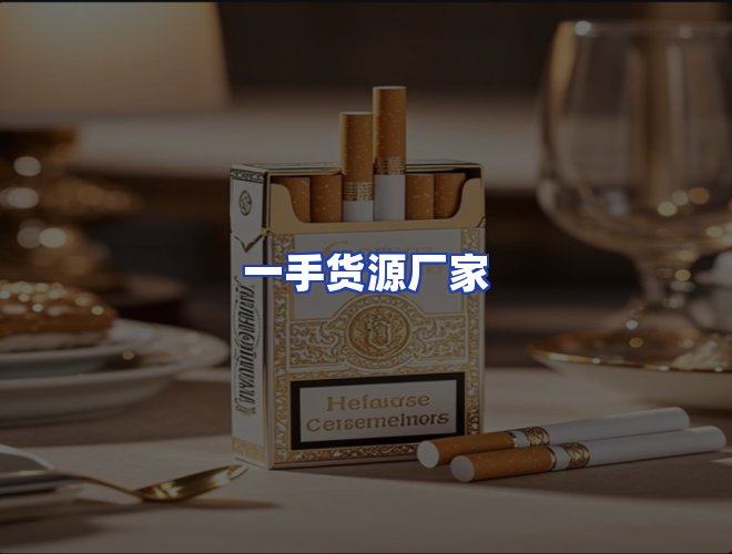 专业团队